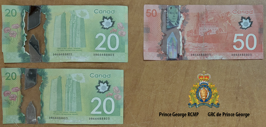 Photo of the back side of the counterfeit bills